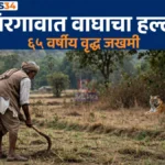 तळोधी वाघाचा हल्ला झालेल्या गिरगाव परिसरातील शेत आणि वनक्षेत्र