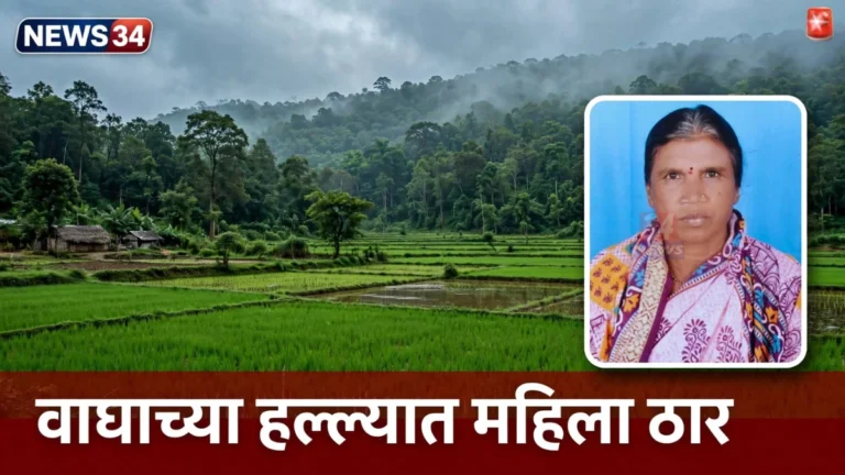 चंद्रपूर वाघाचा हल्ला झालेल्या आगरझरी परिसरातील वनक्षेत्र
