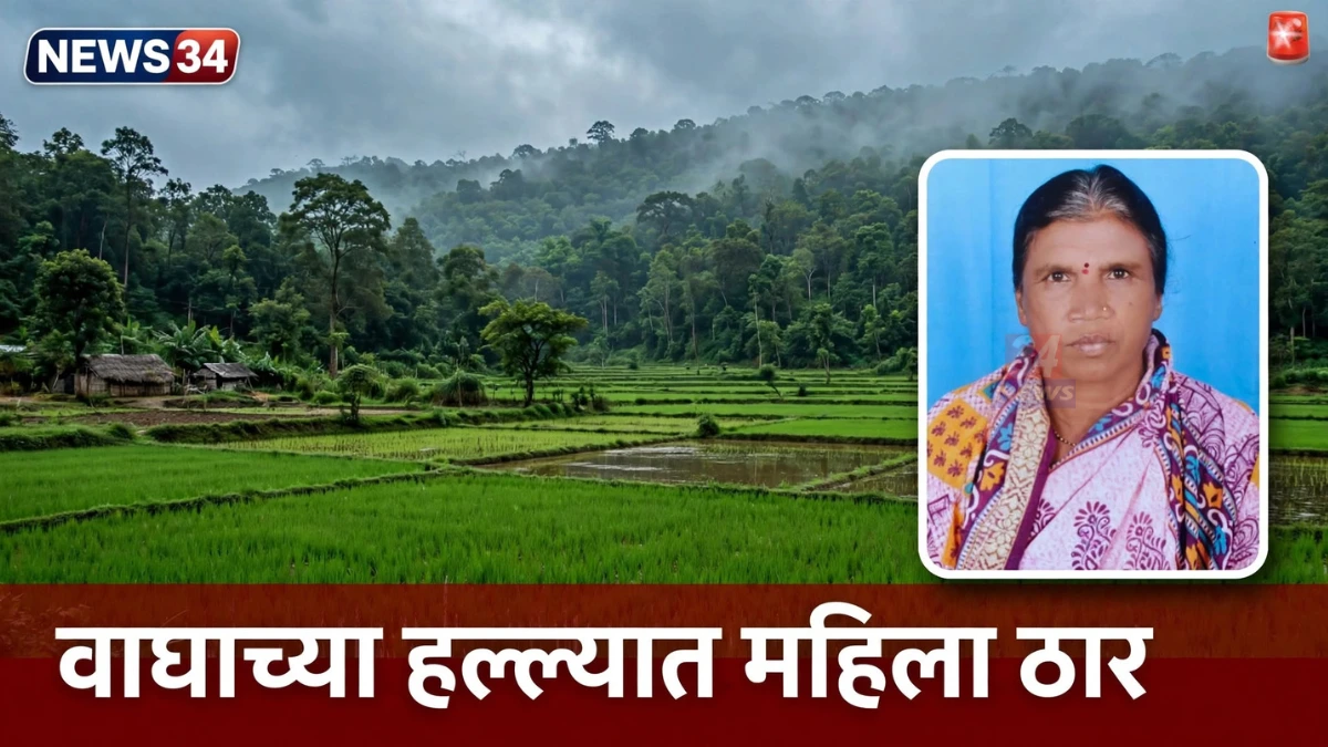 चंद्रपूर वाघाचा हल्ला झालेल्या आगरझरी परिसरातील वनक्षेत्र