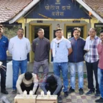 वरोरा विदेशी दारू जप्तीचे प्रातिनिधिक छायाचित्र; पोलिसांनी जप्त केलेल्या दारूच्या बाटल्या
